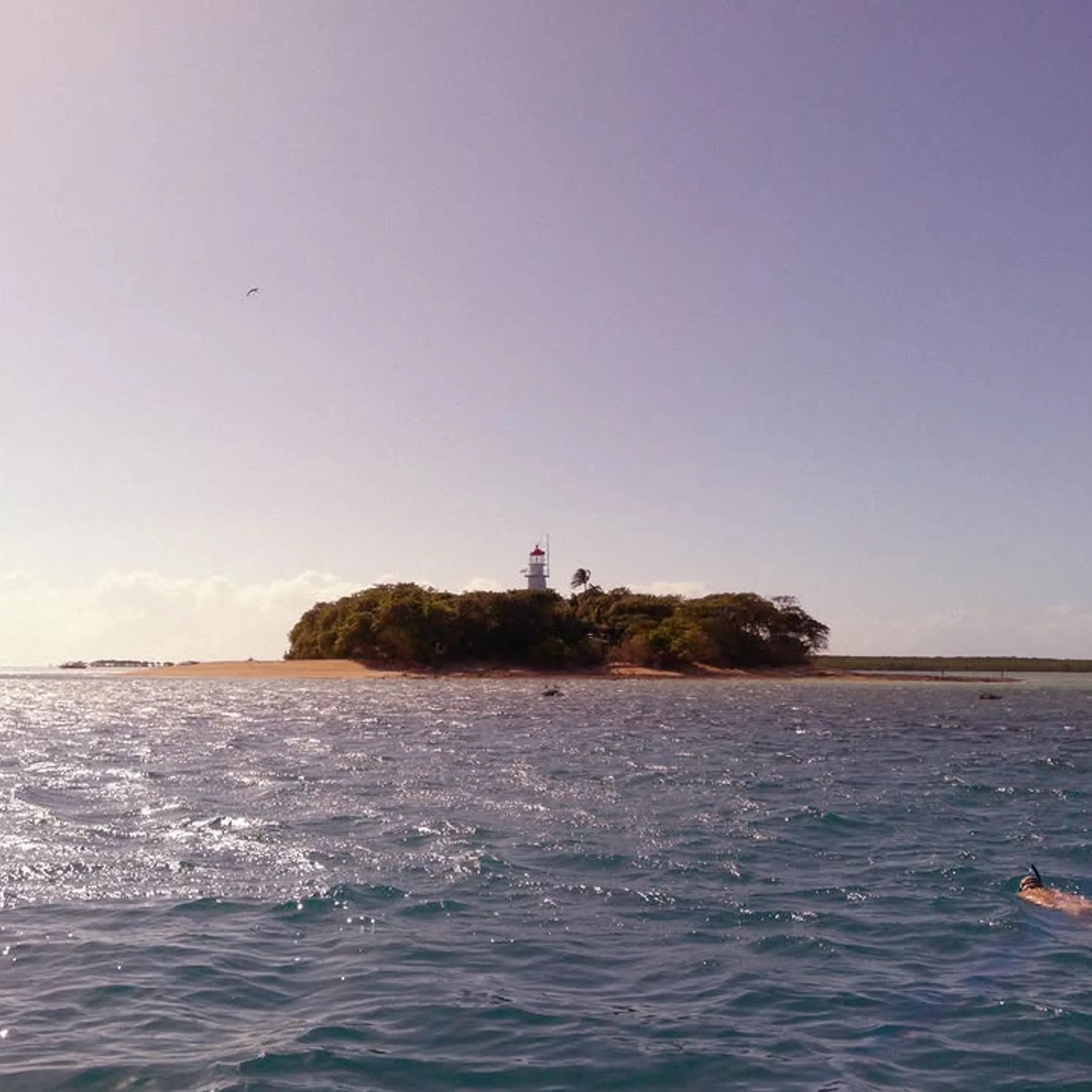 family snorkeling on great barrier reef