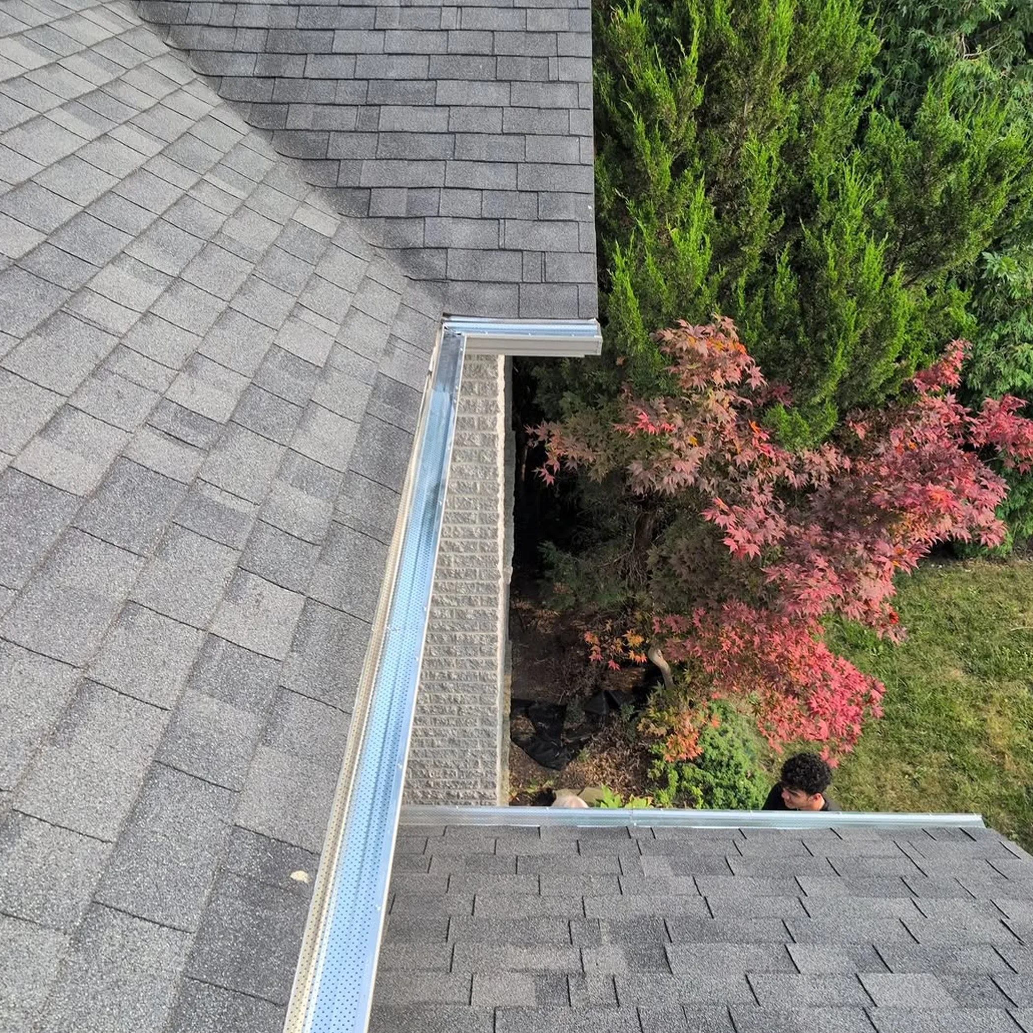 roof gutter maintenance and guards